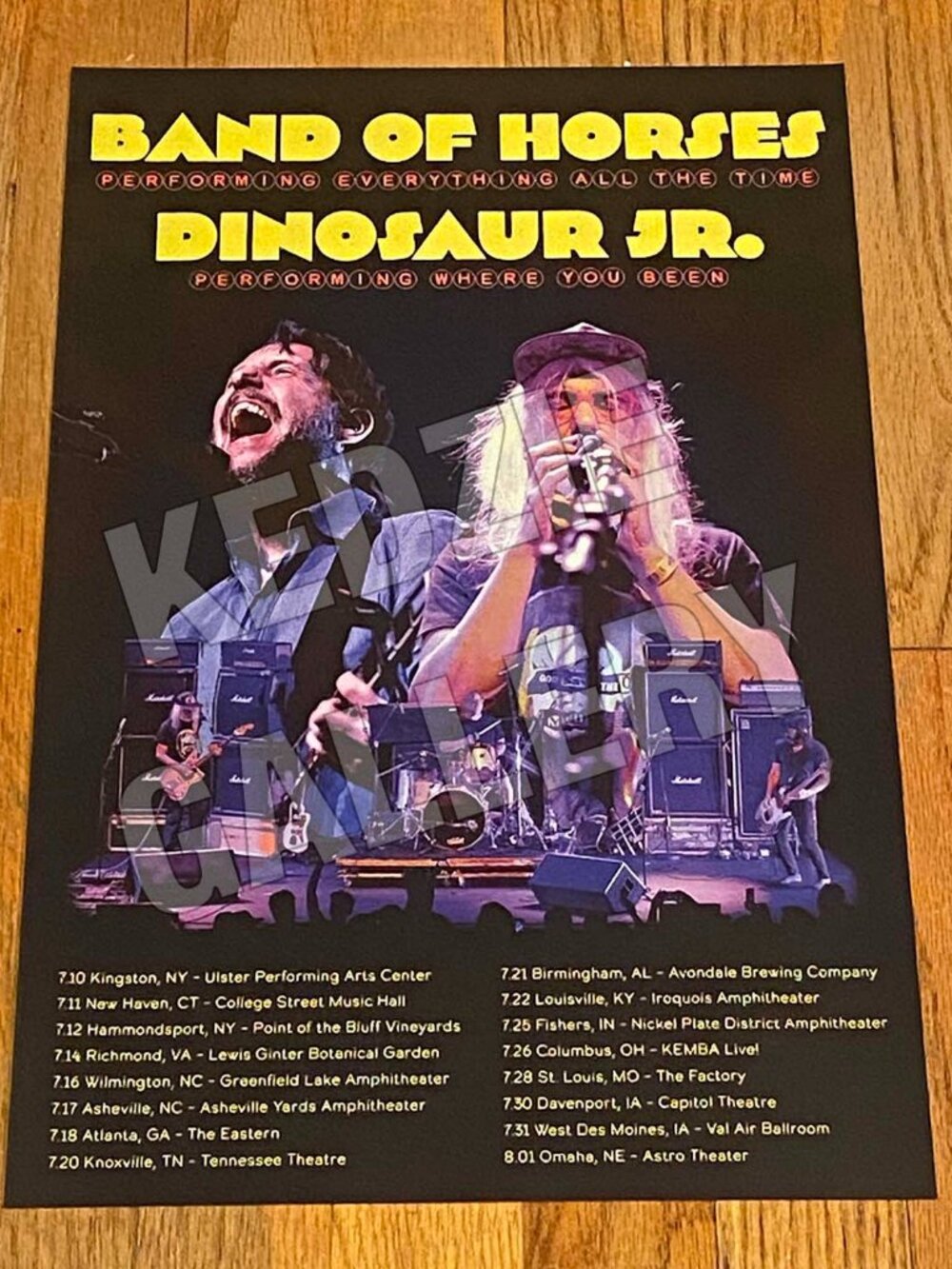 Band of Horses Dinosaur Jr 2026 Tour Record Store Promo Poster - Where You Been